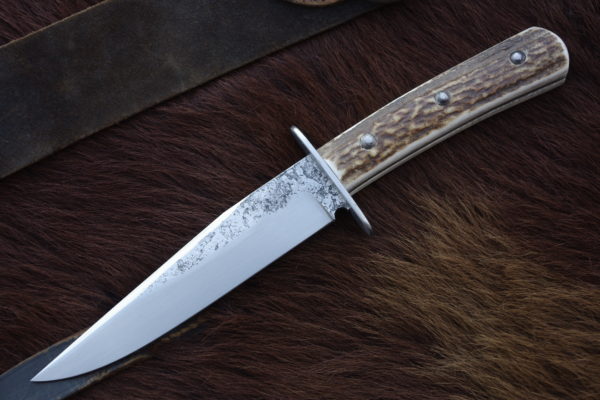 Svačiňáček paroh elegant